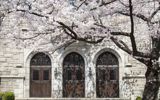 宣讲会通知：韩国梨花女子大学硕士项目来了！