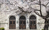韩国梨花女子大学硕士项目来了！